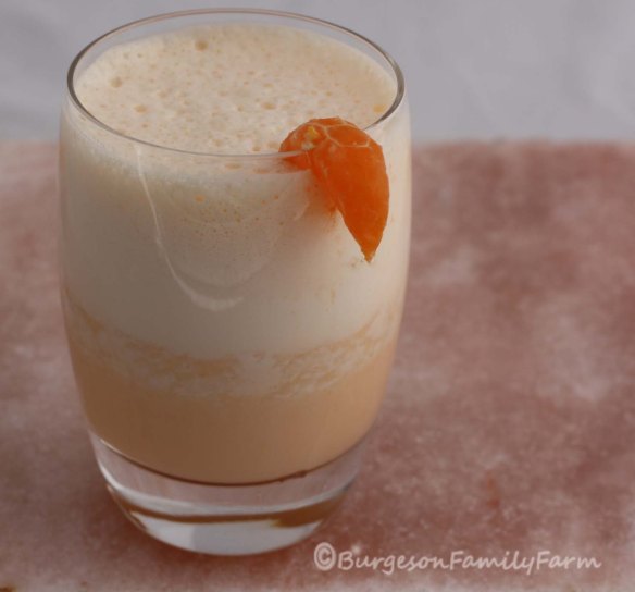 mandarin smoothie